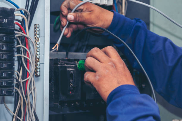 Best Outdoor Lighting Installation  in Belvidere, IL