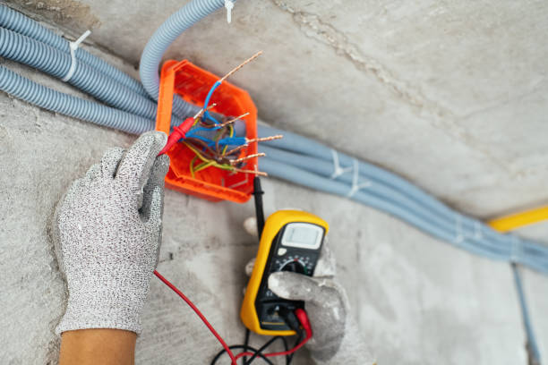 Best Electrician for Home Renovation  in Belvidere, IL